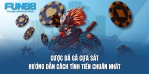 cuoc da ga cua sat huong dan cach tinh tien chuan nhat