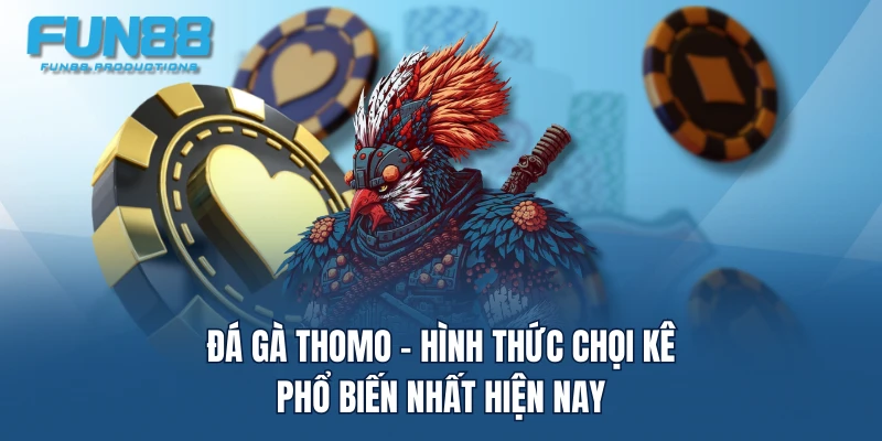 Đá gà Thomo - Hình thức chọi kê phổ biến nhất hiện nay