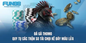 da ga thomo quy tu cac tran so tai choi ke day mau lua