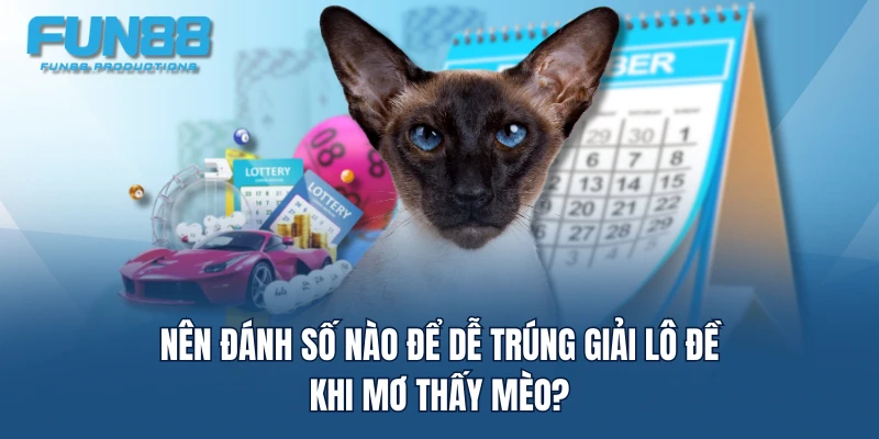 Nên đánh số nào để dễ trúng giải lô đề khi mơ thấy mèo?