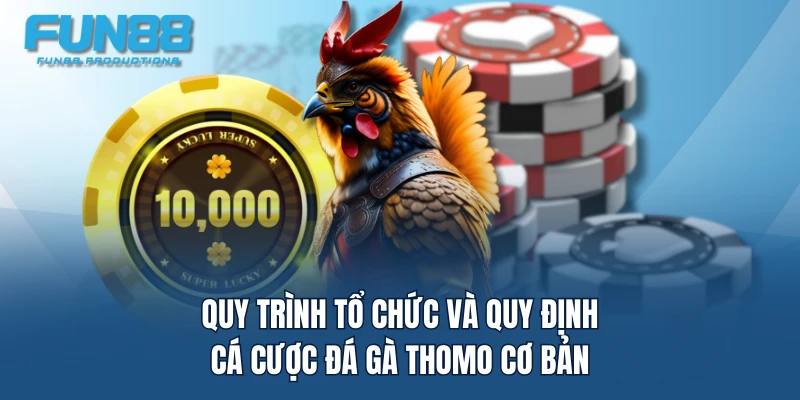 Quy trình tổ chức và quy định cá cược đá gà Thomo cơ bản