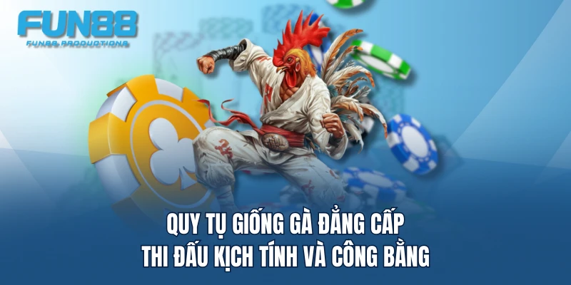 Quy tụ giống gà đẳng cấp, thi đấu kịch tính và công bằng